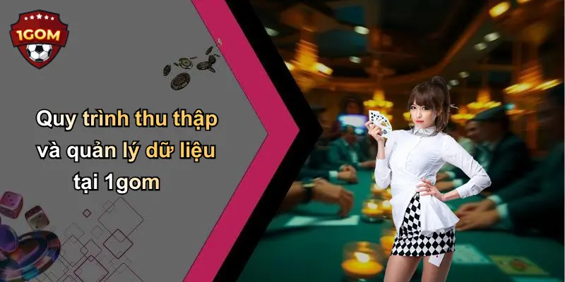 Quy trình thu thập và quản lý dữ liệu tại 1gom