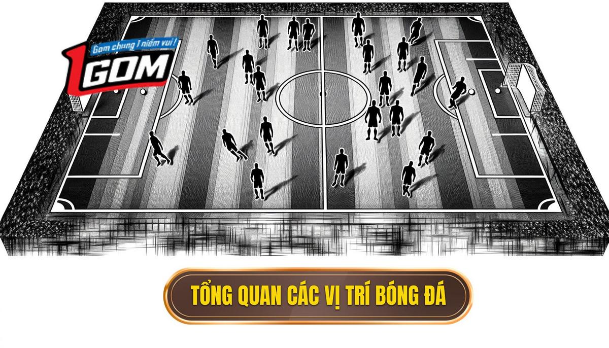 Tổng quan về hệ thống các vị trí trong bóng đá