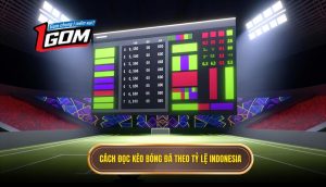 Cách đọc kèo bóng đá theo tỷ lệ Indonesia