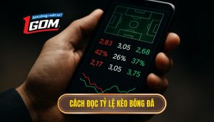 Cách đọc tỷ lệ kèo bóng đá