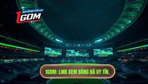 Link xem bóng đá trực tiếp hôm nay